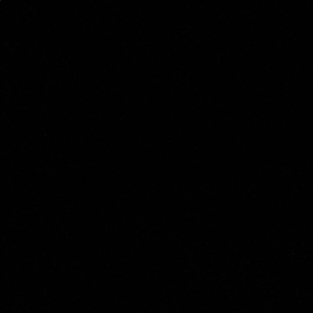 Meet your Posher, Brady